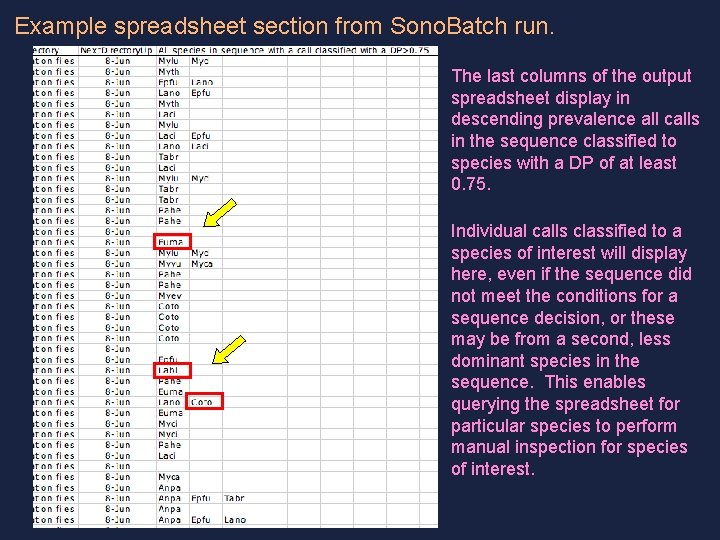 Example spreadsheet section from Sono. Batch run. The last columns of the output spreadsheet