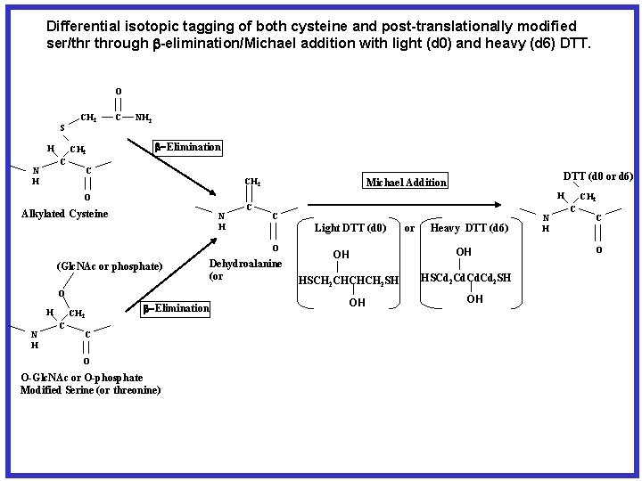 Differential isotopic tagging of both cysteine and post-translationally modified ser/thr through b-elimination/Michael addition with