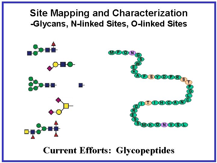 Site Mapping and Characterization -Glycans, N-linked Sites, O-linked Sites M P Q N G