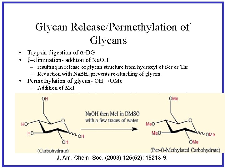 Glycan Release/Permethylation of Glycans • Trypsin digestion of a-DG • b-elimination- additon of Na.