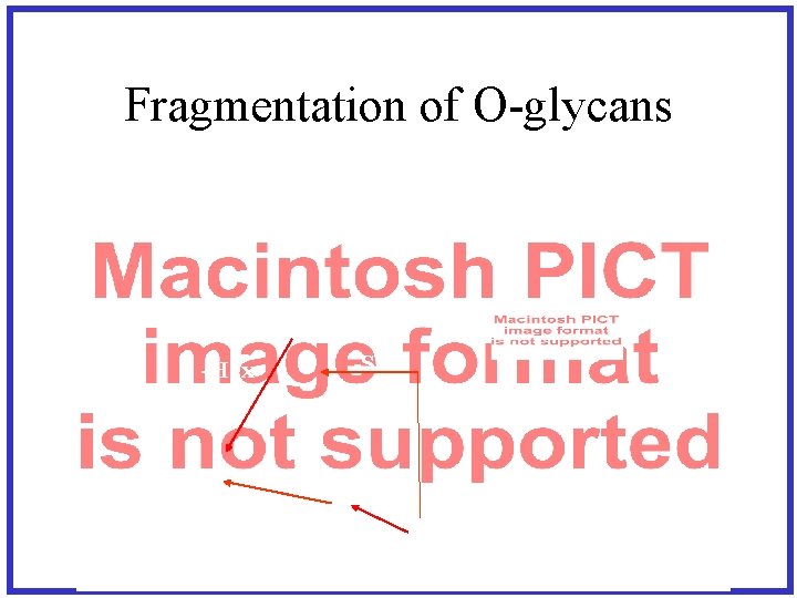 Fragmentation of O-glycans -Hex-Hex. NAc + Na -SA -Hex 