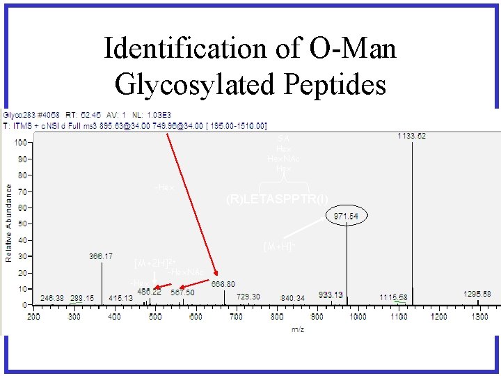 Identification of O-Man Glycosylated Peptides SA Hex. NAc Hex -Hex (R)LETASPPTR(I) [M+H]+ [M+2 H]2+
