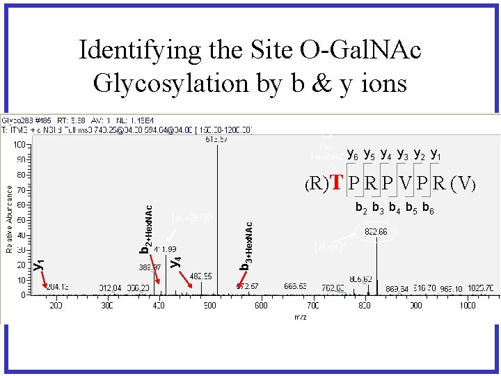 Identifying the Site O-Gal. NAc Glycosylation by b & y ions SA Hex. NAC