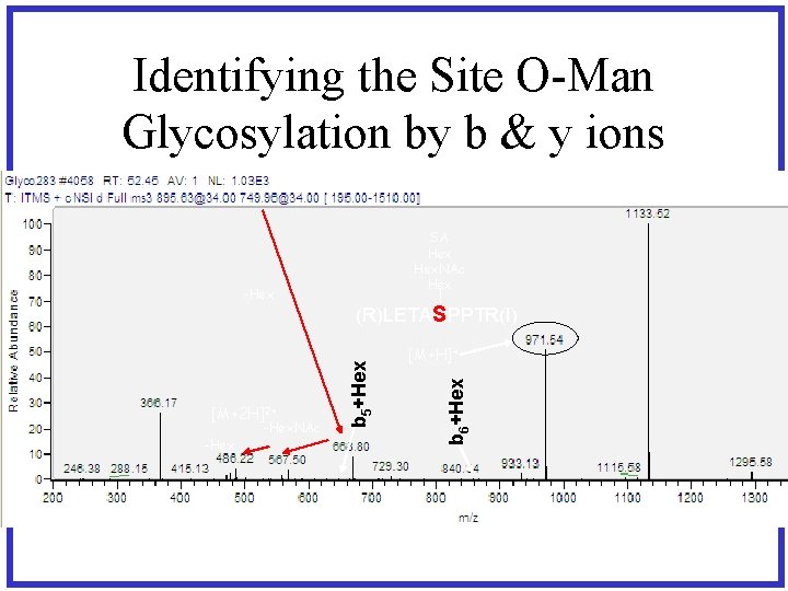 Identifying the Site O-Man Glycosylation by b & y ions -Hex. NAc [M+H]+ b