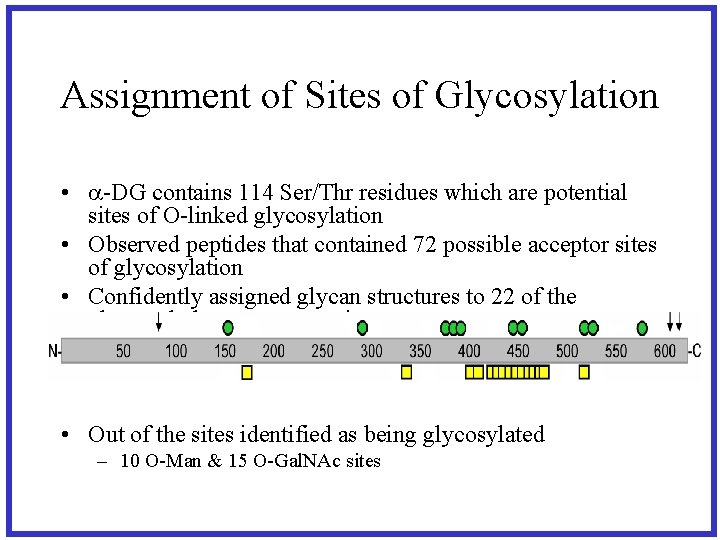 Assignment of Sites of Glycosylation • a-DG contains 114 Ser/Thr residues which are potential