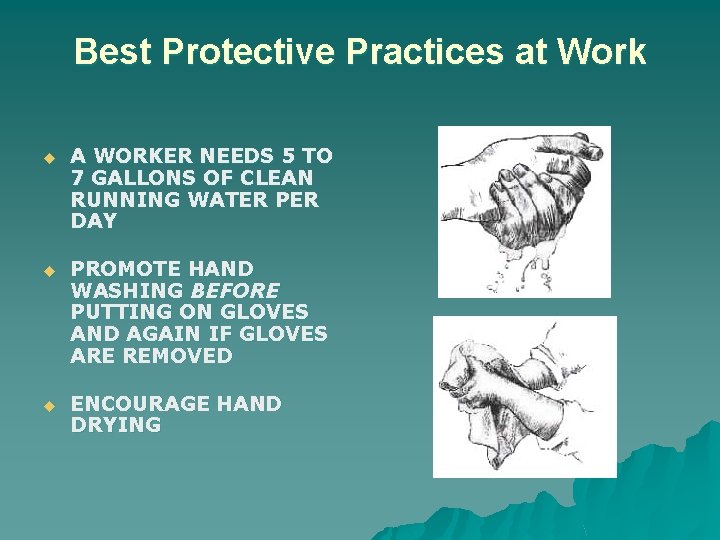 Best Protective Practices at Work u A WORKER NEEDS 5 TO 7 GALLONS OF