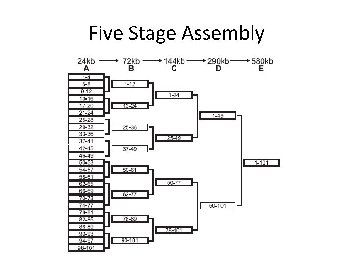Five Stage Assembly 