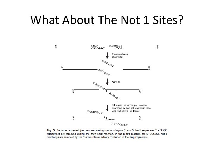 What About The Not 1 Sites? 