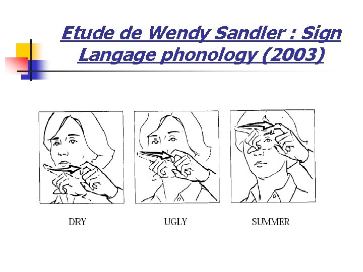 Etude de Wendy Sandler : Sign Langage phonology (2003) 