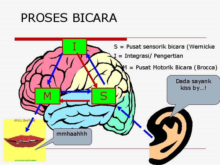 PROSES BICARA I S = Pusat sensorik bicara (Wernicke I = Integrasi/ Pengertian M