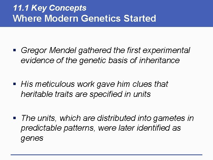11. 1 Key Concepts Where Modern Genetics Started § Gregor Mendel gathered the first