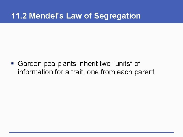 11. 2 Mendel’s Law of Segregation § Garden pea plants inherit two “units” of