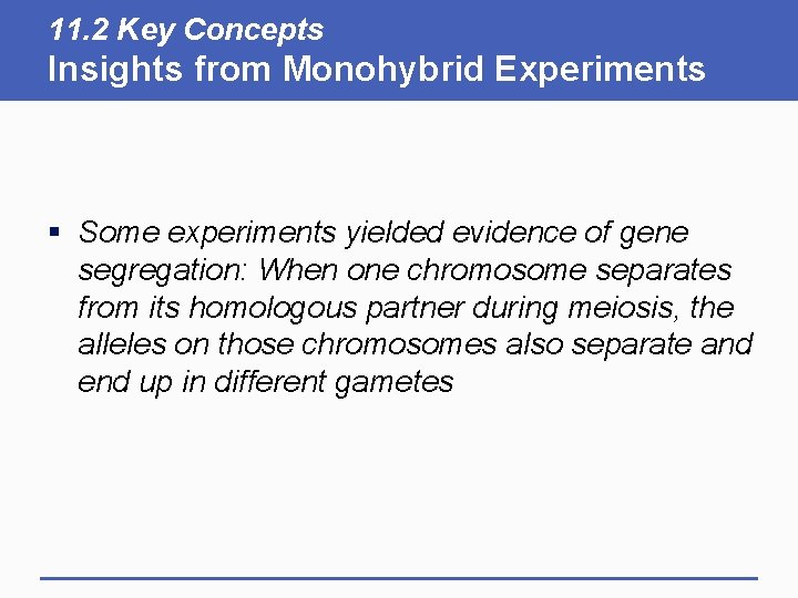 11. 2 Key Concepts Insights from Monohybrid Experiments § Some experiments yielded evidence of