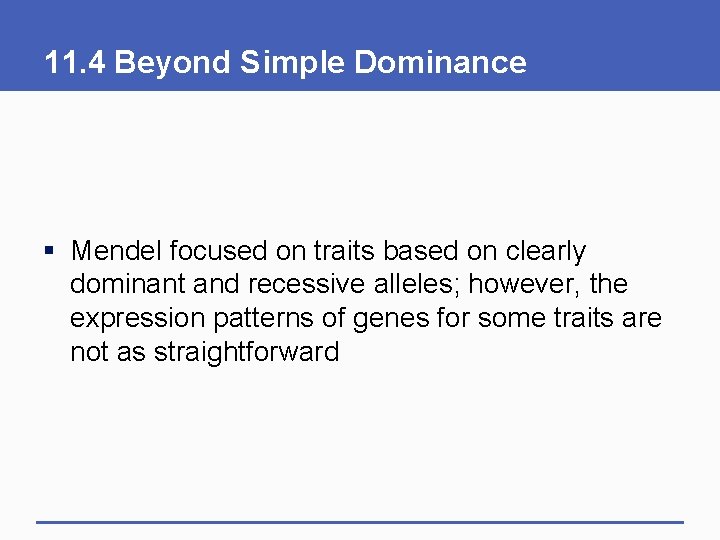 11. 4 Beyond Simple Dominance § Mendel focused on traits based on clearly dominant