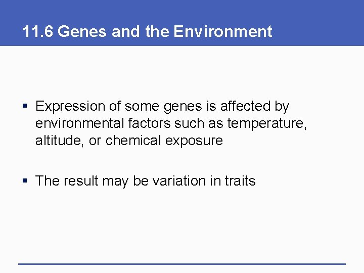 11. 6 Genes and the Environment § Expression of some genes is affected by