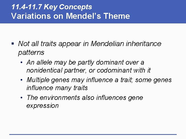 11. 4 -11. 7 Key Concepts Variations on Mendel’s Theme § Not all traits