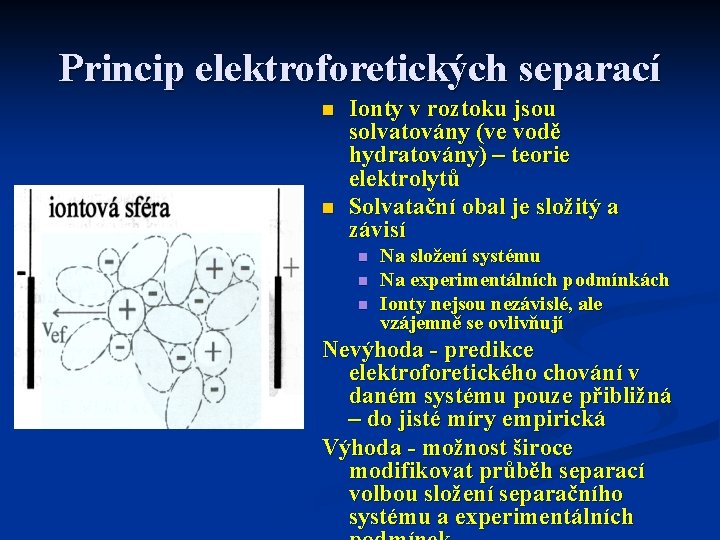 Princip elektroforetických separací n n Ionty v roztoku jsou solvatovány (ve vodě hydratovány) –