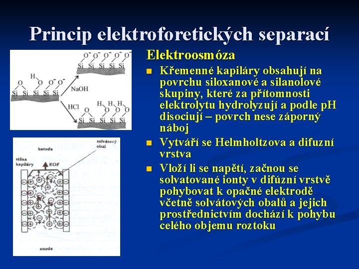Princip elektroforetických separací Elektroosmóza n n n Křemenné kapiláry obsahují na povrchu siloxanové a