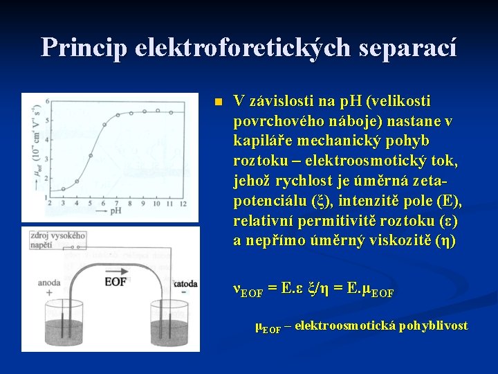 Princip elektroforetických separací n V závislosti na p. H (velikosti povrchového náboje) nastane v