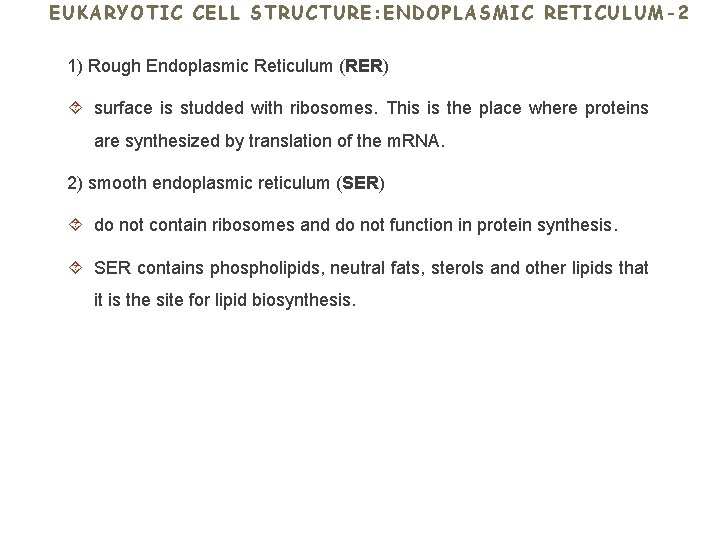 EUKARYOTIC CELL STRUCTURE: ENDOPLASMIC RETICULUM-2 1) Rough Endoplasmic Reticulum (RER) surface is studded with