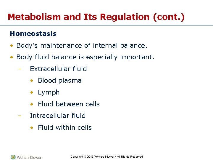 Metabolism and Its Regulation (cont. ) Homeostasis • Body’s maintenance of internal balance. •