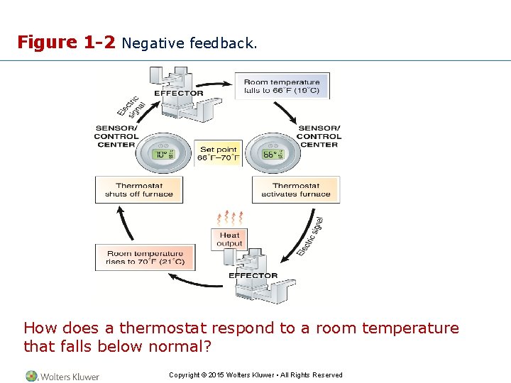 Figure 1 -2 Negative feedback. How does a thermostat respond to a room temperature