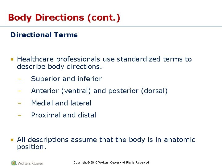 Body Directions (cont. ) Directional Terms • Healthcare professionals use standardized terms to describe