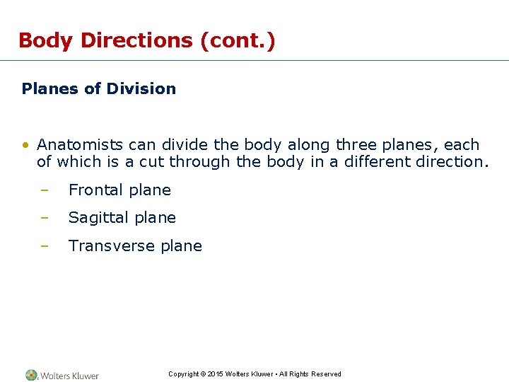 Body Directions (cont. ) Planes of Division • Anatomists can divide the body along