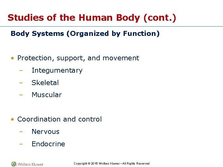 Studies of the Human Body (cont. ) Body Systems (Organized by Function) • Protection,