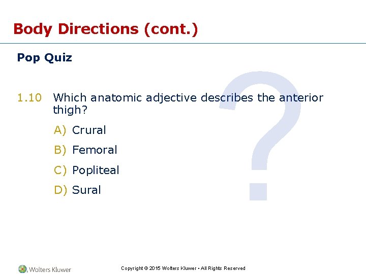 Body Directions (cont. ) Pop Quiz ? 1. 10 Which anatomic adjective describes the