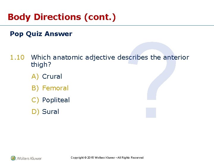 Body Directions (cont. ) Pop Quiz Answer ? 1. 10 Which anatomic adjective describes