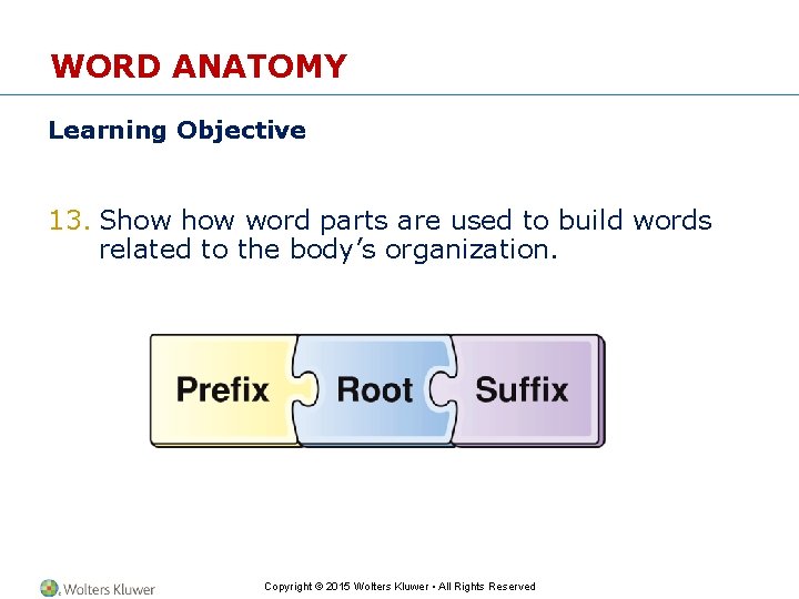 WORD ANATOMY Learning Objective 13. Show word parts are used to build words related