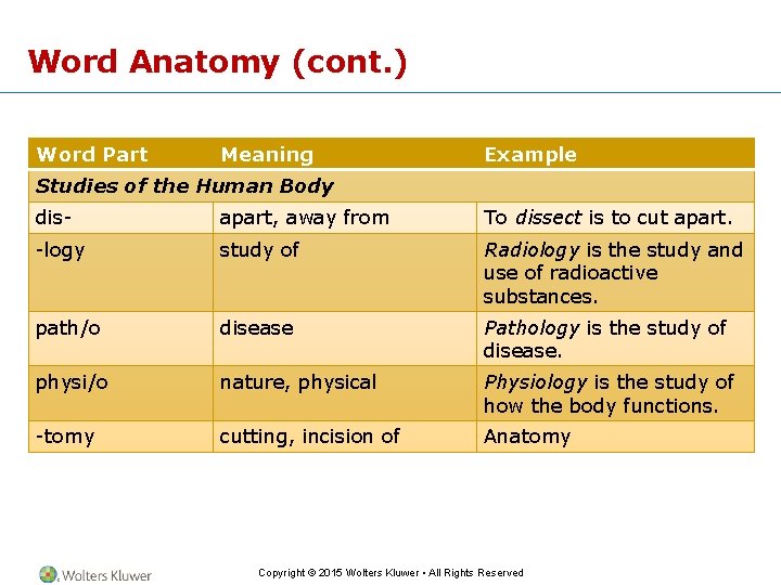 Word Anatomy (cont. ) Word Part Meaning Example Studies of the Human Body dis-