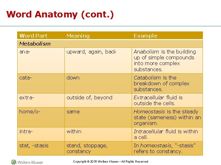 Word Anatomy (cont. ) Word Part Meaning Example ana- upward, again, back Anabolism is