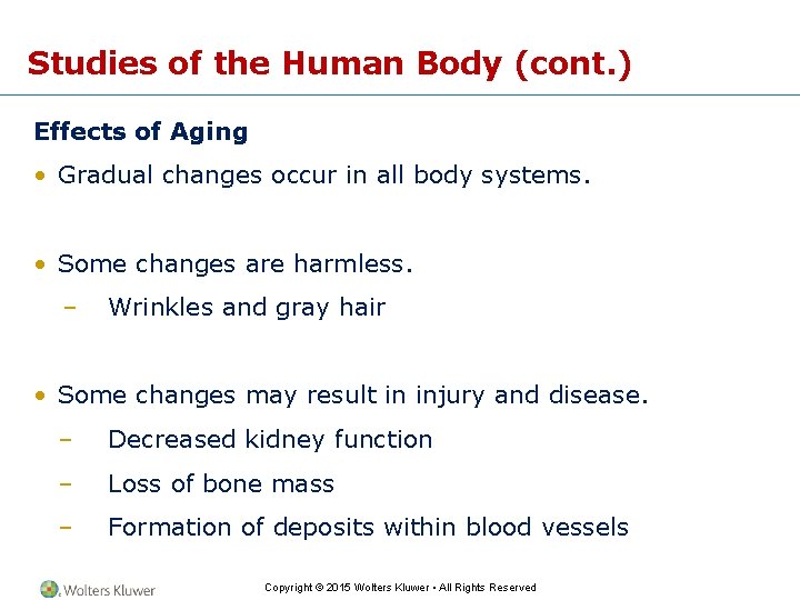 Studies of the Human Body (cont. ) Effects of Aging • Gradual changes occur