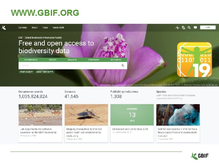 Building a community of practice supporting biodiversity data