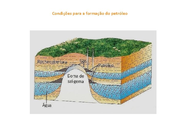 Condições para a formação do petróleo 