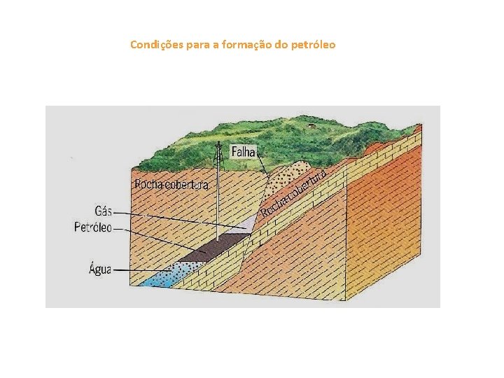 Condições para a formação do petróleo 