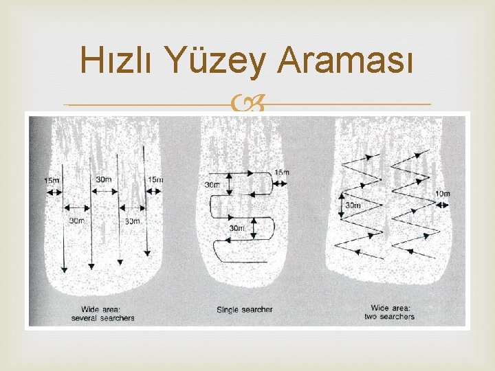 Hızlı Yüzey Araması 