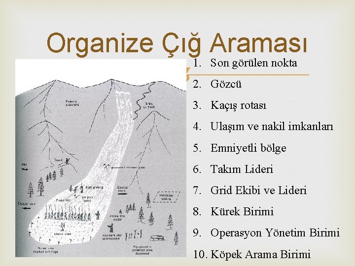 Organize Çığ Araması 1. Son görülen nokta 2. Gözcü 3. Kaçış rotası 4. Ulaşım