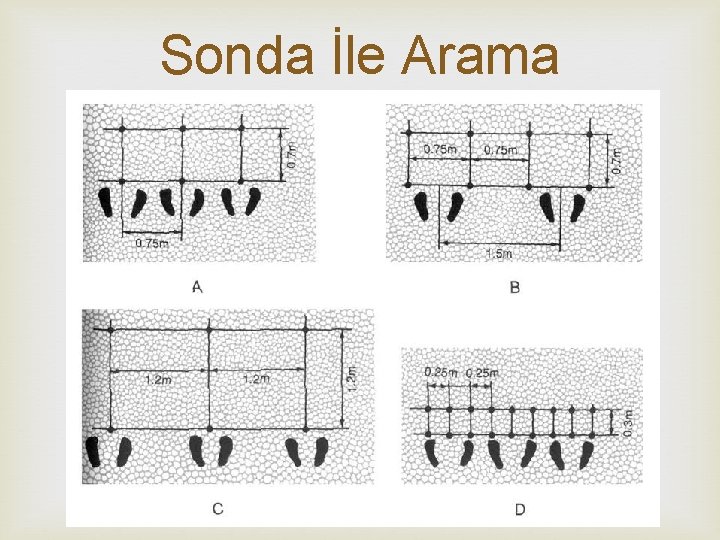 Sonda İle Arama Şablonları 