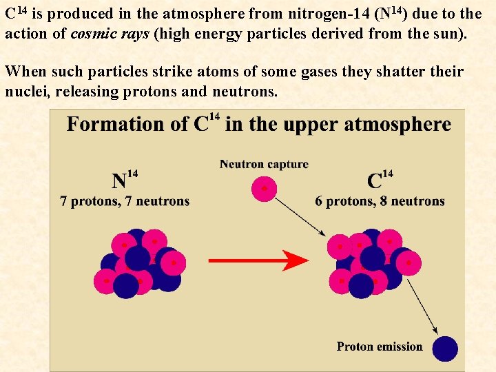 C 14 is produced in the atmosphere from nitrogen-14 (N 14) due to the