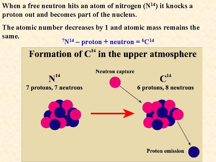 When a free neutron hits an atom of nitrogen (N 14) it knocks a