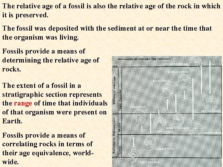 The relative age of a fossil is also the relative age of the rock