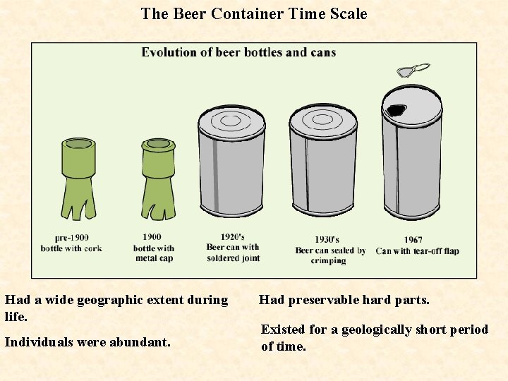 The Beer Container Time Scale Had a wide geographic extent during life. Individuals were