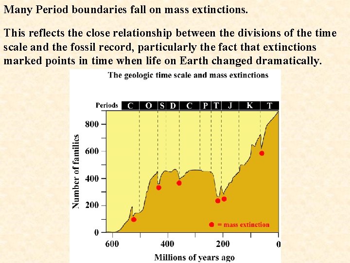 Many Period boundaries fall on mass extinctions. This reflects the close relationship between the