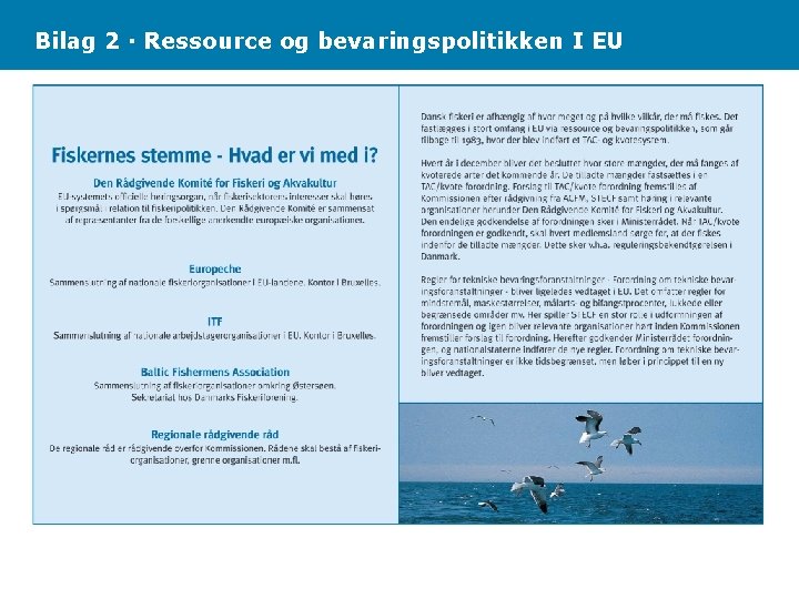 Bilag 2 · Ressource og bevaringspolitikken I EU 