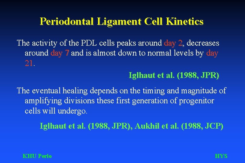 Periodontal Ligament Cell Kinetics The activity of the PDL cells peaks around day 2,