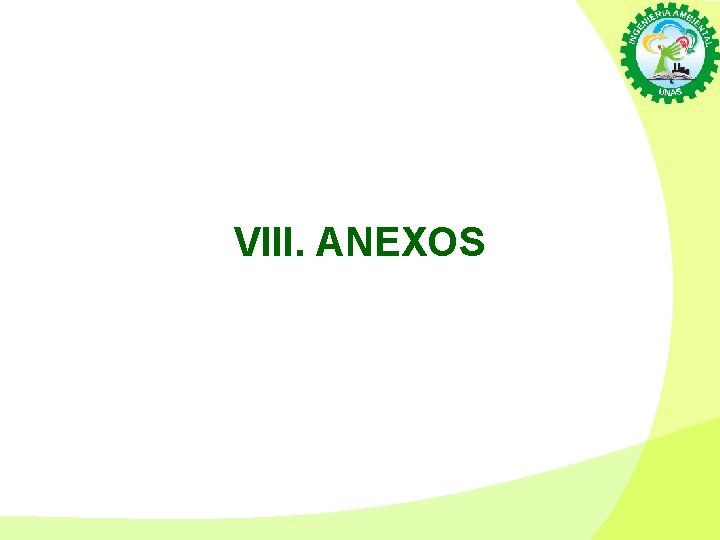 VIII. ANEXOS 