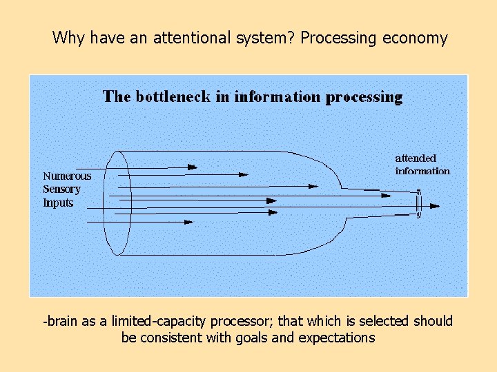 Why have an attentional system? Processing economy -brain as a limited-capacity processor; that which